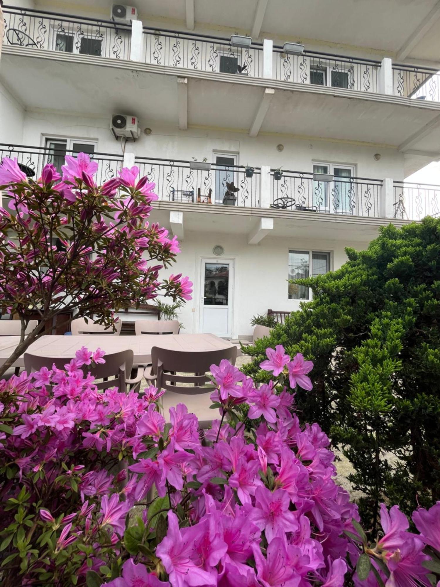 Guest House Junona Makhinjauri Exteriér fotografie